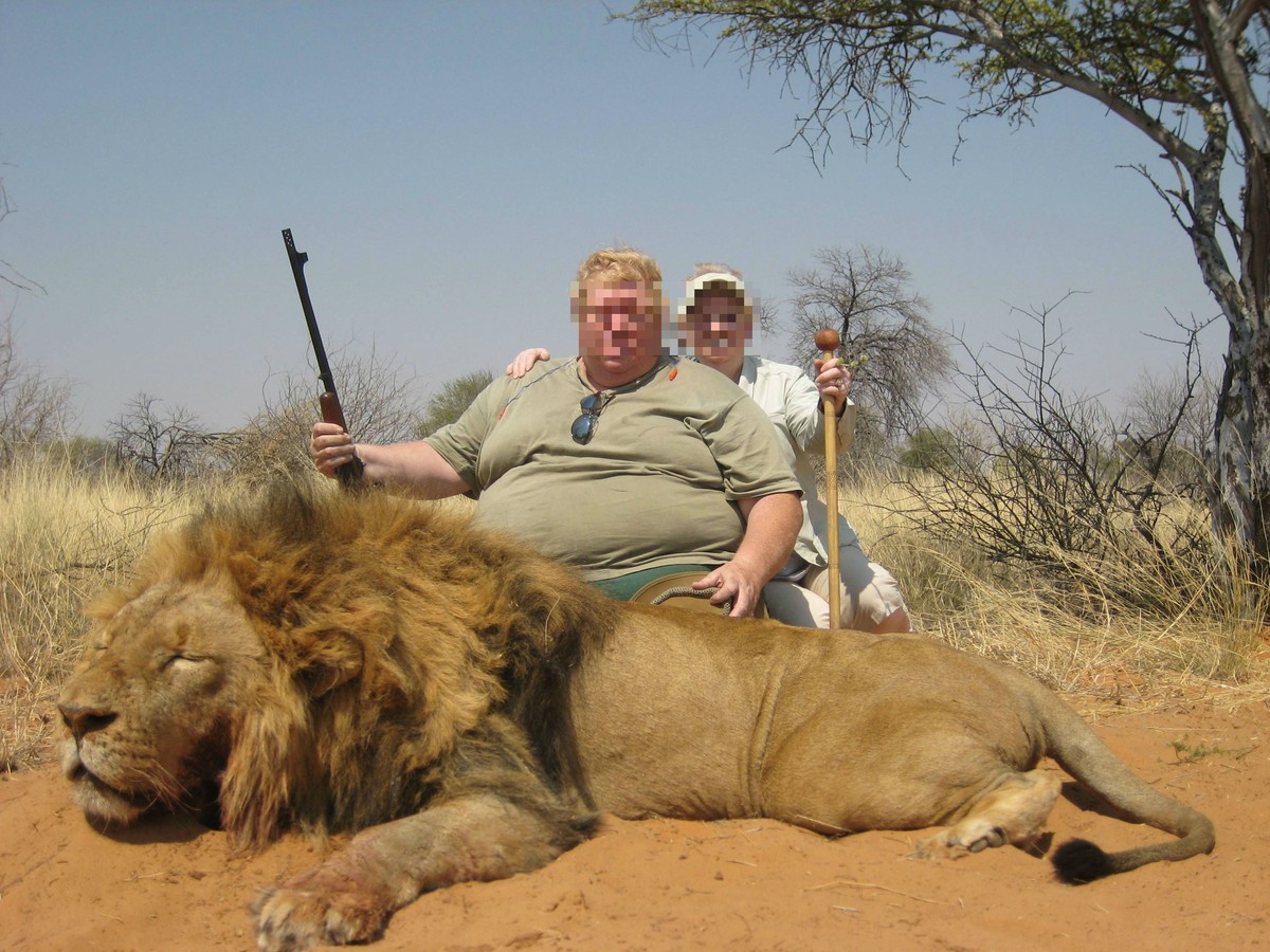 Ein kleiner Tipp vom watson-Team: So wird erst recht nichts mit der Damenwelt. Keine Fotos lebender Tiere, aber sicher auch keine von toten posten. Und mit 1000-prozentiger Wahrscheinlichkeit geht es  ...