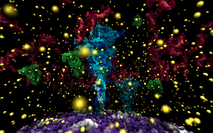 Visualization of the virus&#039; spike protein (cyan) surrounded by mucus molecules (red) and calcium ions (yellow). The viral membrane is shown in purple.