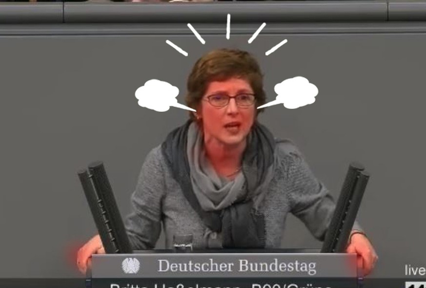 Grünen-Politikerin on fire 🔥 – Hasselmann demontiert im Bundestag die AfD