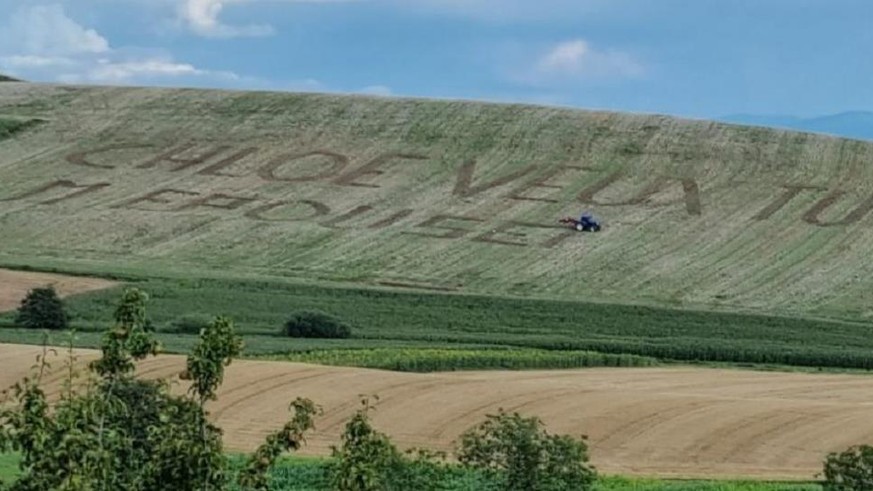 Französischer Landwirt mäht Heiratsantrag in Rapsfeld - Vimarsana News