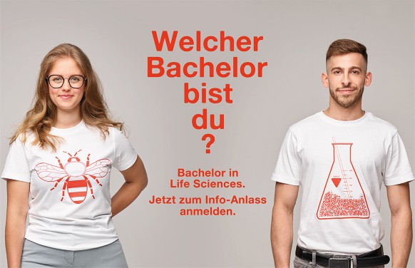 Promo Bild