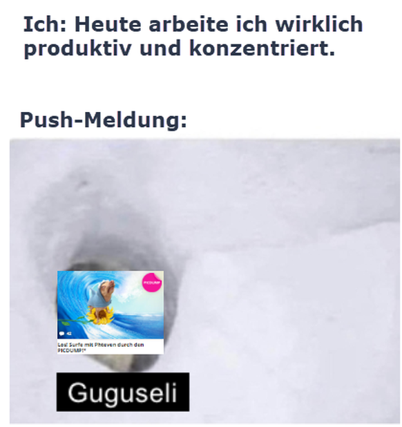 Los! Surfe mit Phteven durch den PICDUMP!*
Bonjour reloaded reloaded.