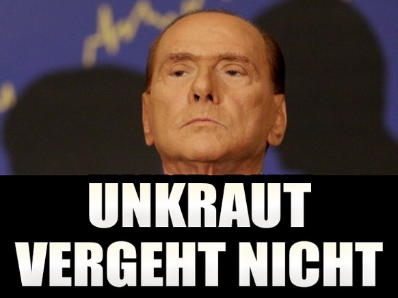 Berlusconi spürt den «Wind des Wandels»: Der Cavaliere will zurück an die Macht
...