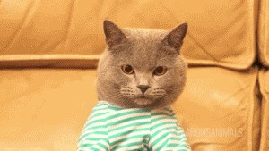 Picdump! Für Gross und Klein und alle zwischendrin
Juhuuuuuuu, es ist Mittwoch! :)