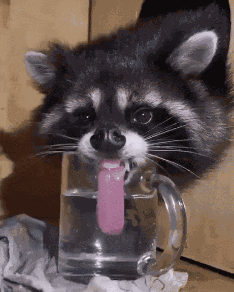 Animiertes GIF