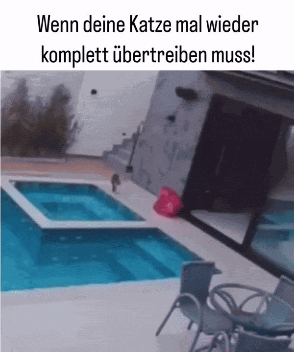 Animiertes GIF