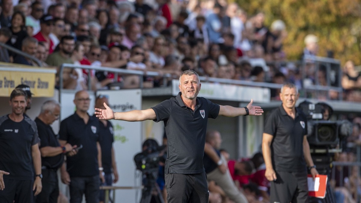 Der Trainer von Aarau, Alex Frei, mitte, beim Schweizer Fussball Cup 1/16 Final zwischen dem FC Aarau und dem FC Winterthur vom Sonntag, 17. September 2023 in Aarau. (KEYSTONE/Urs Flueeler)