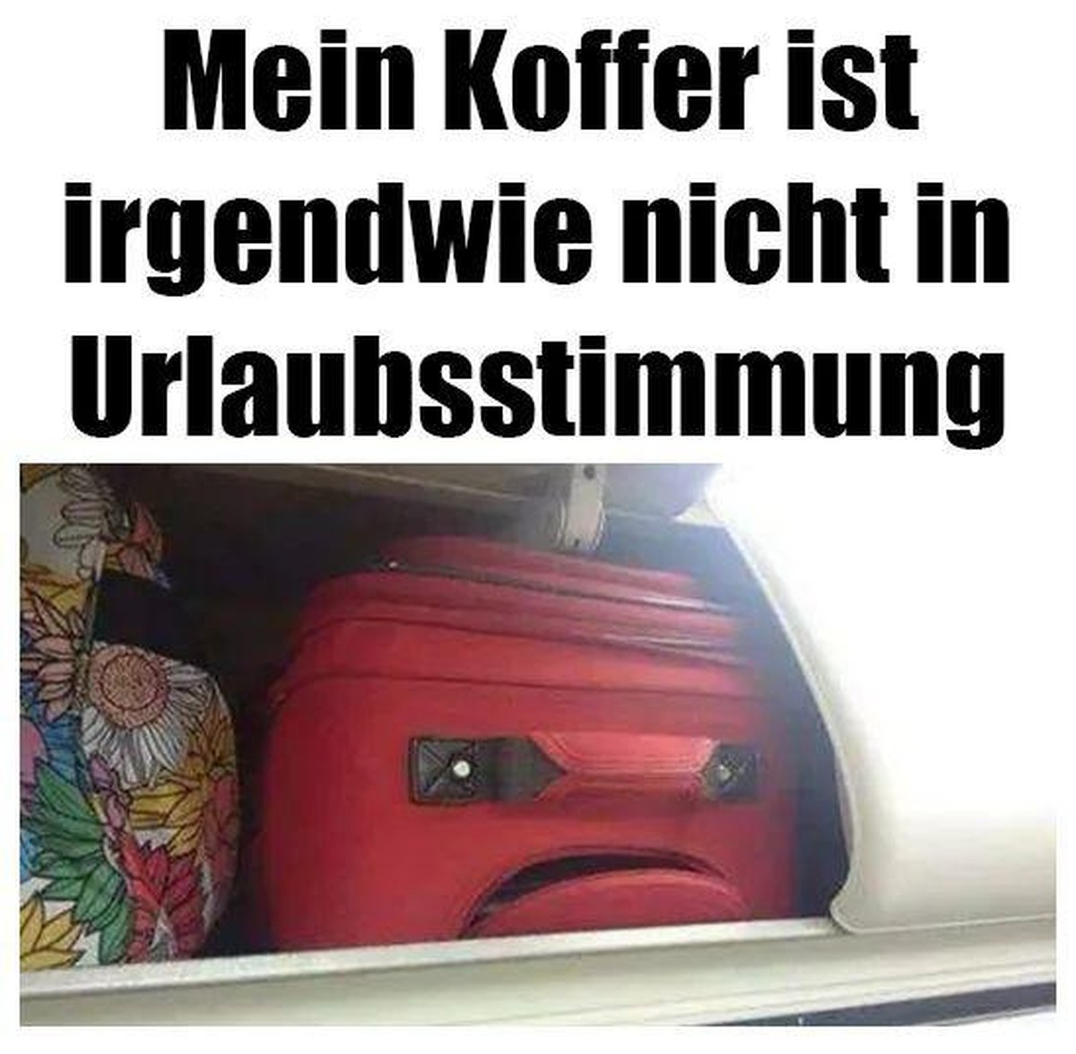 PICDUMP 389 тАУ jetzt mit echter Kunst von ... Warhold ЁЯЩГ\nЁЯе║тШ╣я╕П
