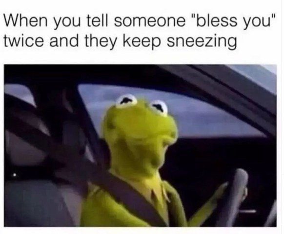 Kermit Nies Meme im Picdump