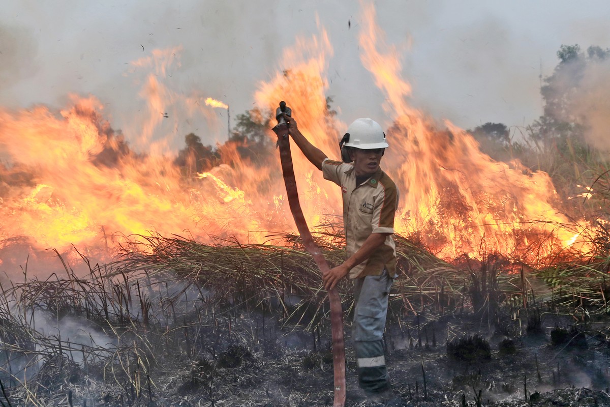 Kampf gegen die Feuersbrunst: Erst auf internationalen Druck hin, haben Indonesiens Behörden eine Gross-Offensive in Sachen Brandbekämpfung angeordnet.
