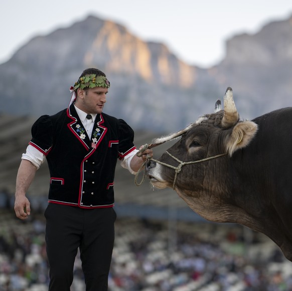 Schwingerkoenig Armon Orlik posiert mit dem Siegermuni Zibu, am Eidgenoessischen Schwing- und Aelplerfest 2025 Glarnerland (ESAF), am Sonntag, 31. August 2025, in Mollis. (KEYSTONE/Gian Ehrenzeller)