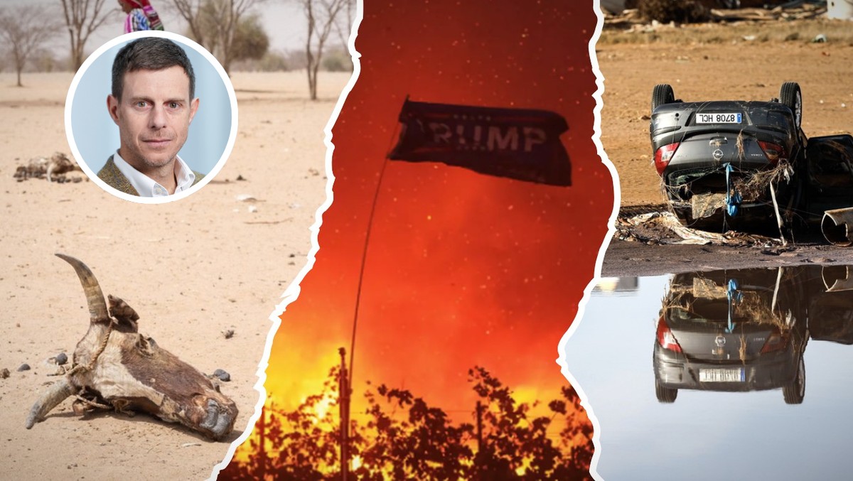 Klimapolitologe-Auch-Trump-kann-die-Transformation-bei-den-Erneuerbaren-nicht-aufhalten-