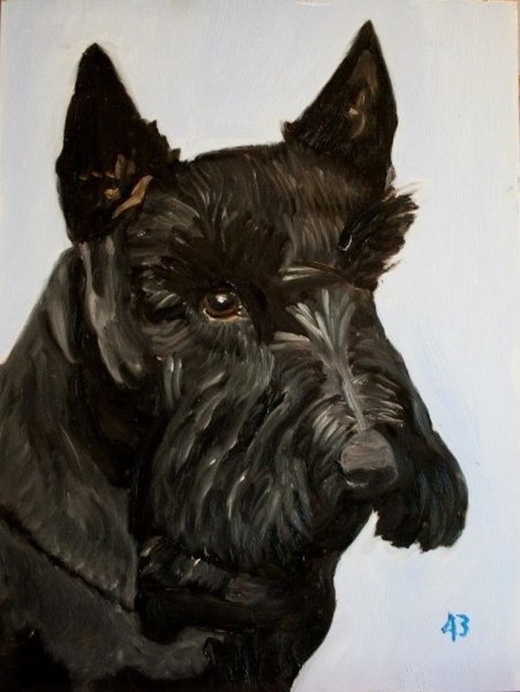 Eines seiner ersten Bilder, veröffentlicht auf Facebook: Bushs verstorbener Hund Barney.