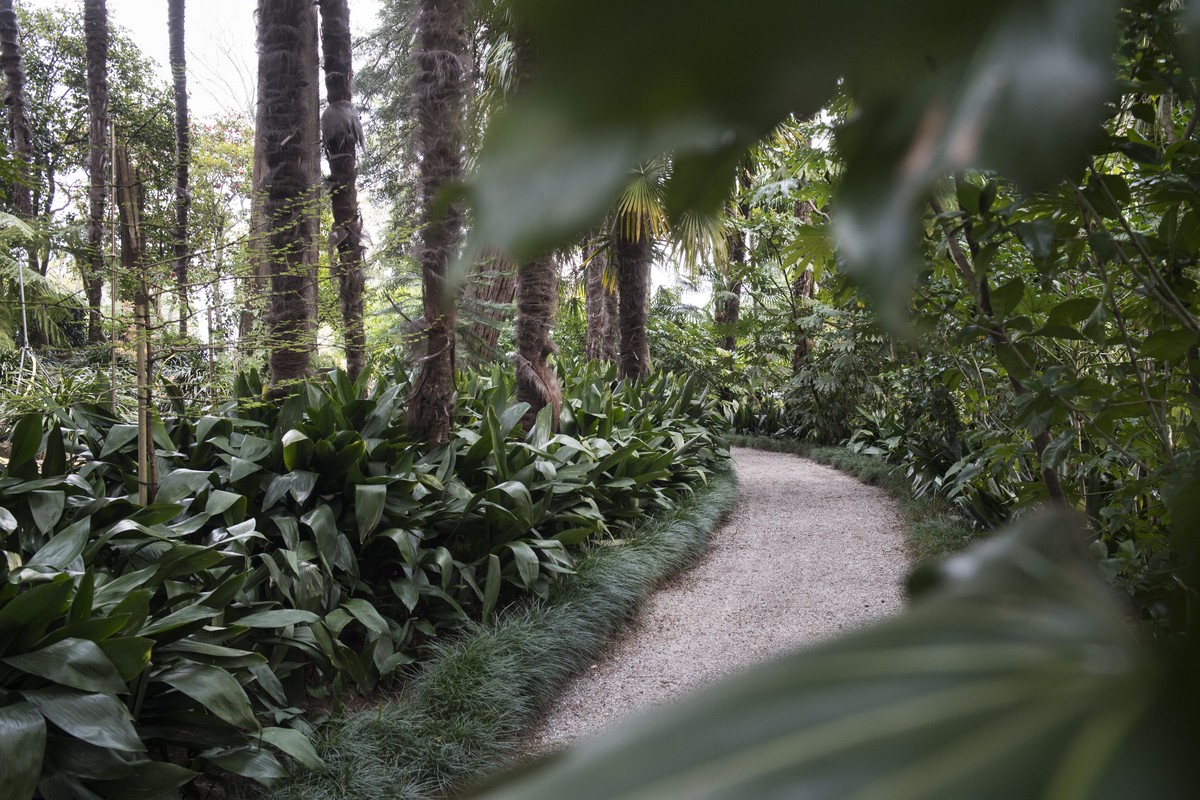 Blick auf die Brissago-Inseln (Isole di Brissago), auf der auch ein botanischer Garten liegt, am Dienstag, 2. April 2019. Die Brissago-Inseln im Lago Maggiore sollen ganz ins Eigentum des Kantons Tess ...