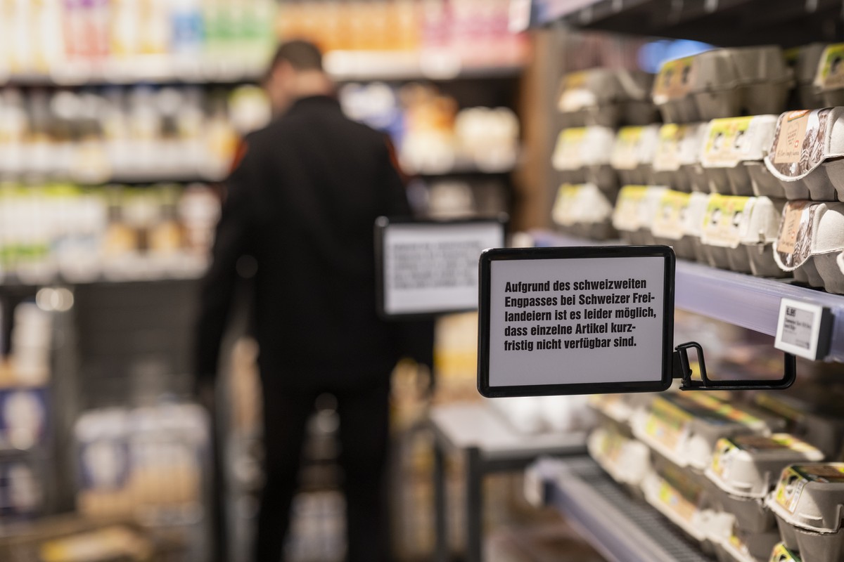 Das Regal mit den verschiedenen Sorten Eiern ist gut gefuellt, am Freitag, 7. Maerz 2025 in einer Filiale der Migros in Bern. Laut dem angebrachtem Schild kann es aufgrund eines Engpasses von Schweize ...
