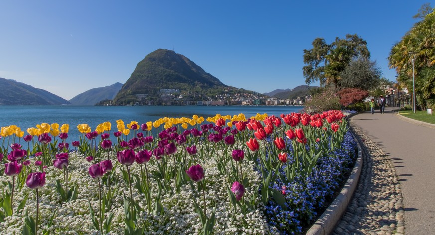 Lugano, Parco Ciani, Shutterstock.com