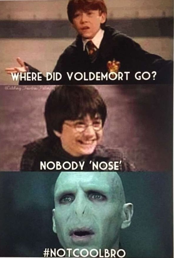 Harry Potter - The best memes about the film series