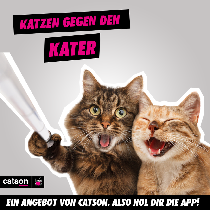 Werbung KAter