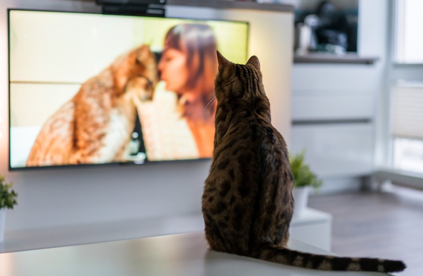 Replay-TV wird ohne Zusatzkosten wesentlich unattraktiver.