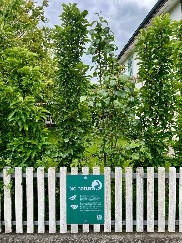infobox image
