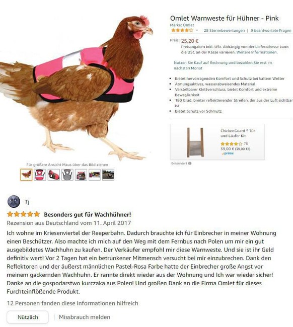 ein dickes hunhn mit weste kundenbewertung