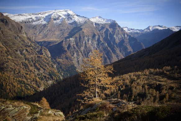 ZUR ABSTIMMUNG IN 17 GEMEINDEN UEBER DEN NATIONALPARK  PARC ADULA AM 27. NOVEMBER 2016 STELLEN WIR IHNEN HEUTE, DONNERSTAG, 17. NOVEMBER 2016, FOLGENDES NEUES BILDMATERIAL ZUR VERFUEGUNG --- Eine La ...