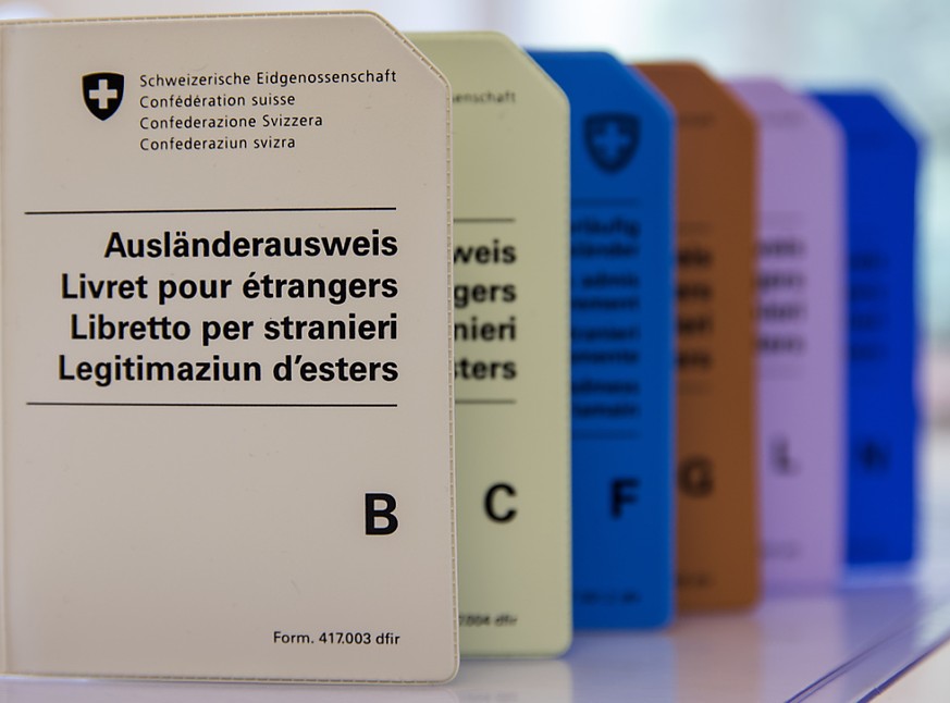 Bald nicht mehr nötig: Hüllen für die heutigen Ausländerausweise aus Papier, die ab November durch Ausweise im Kreditkartenformat ersetzt werden. (Archivbild)