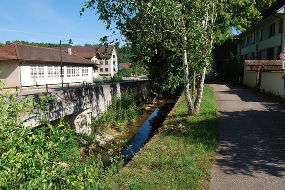 Der Diegterbach in Diegten (BL) wurde unsachgemäss mit Reinigungsmittel belastet.