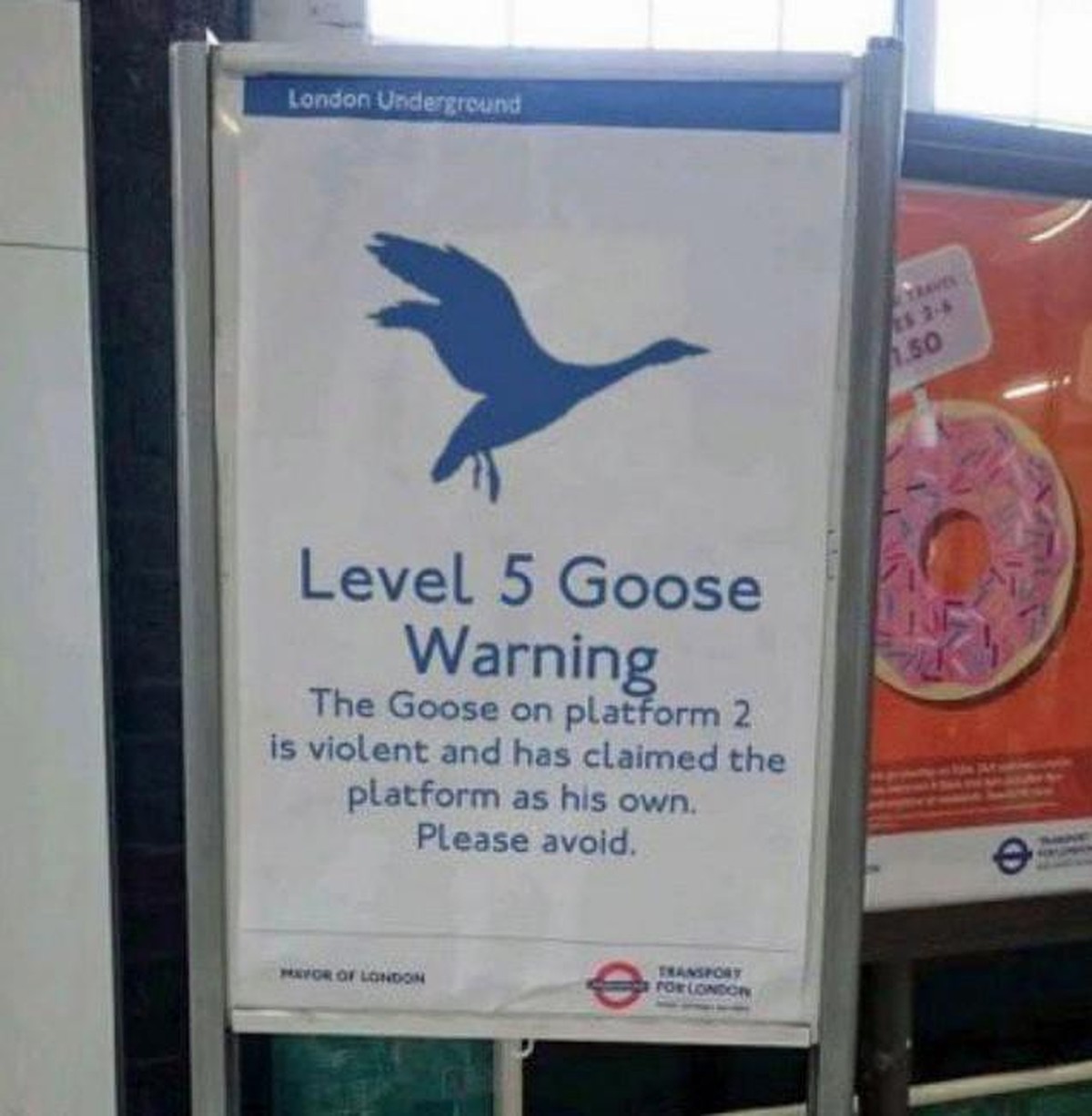 twatgoose england random british problems https://twitter.com/NoContextBrits