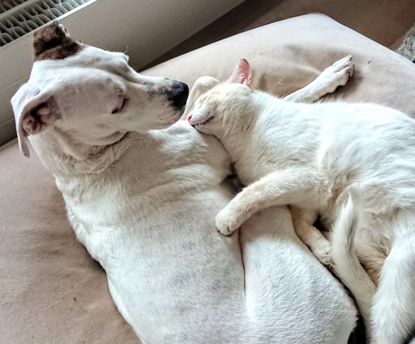 1 Rätsel + 24 Tierbilder, damit der Freitag schneller vorübergeht. WER IST DABEI?
Cute genug?