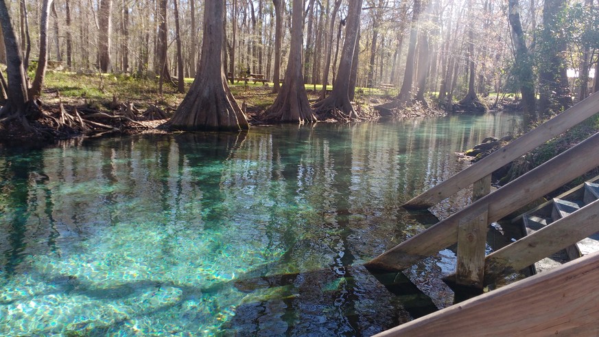 Ginnie Springs Florida Nestle