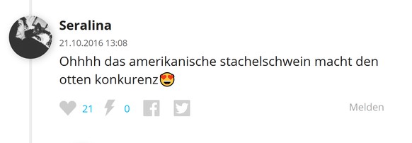 Seralina Kommentar Stachelschweine