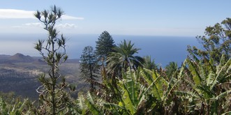Ascension Island: Eine Reportage vom Ende der Welt, dem letzten kleinen Rest von Atlantis