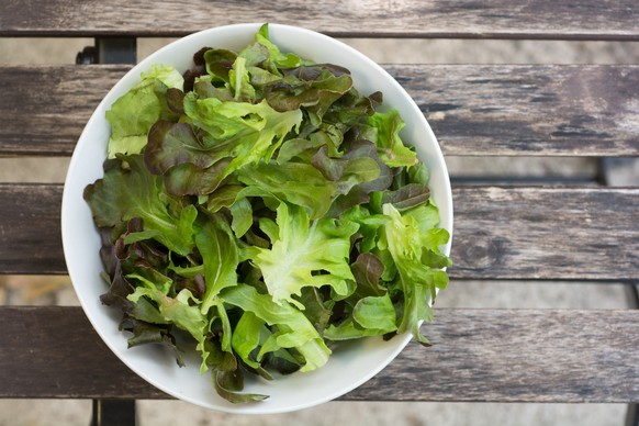 grüner salat lattich kopfsalat essen food gemüse