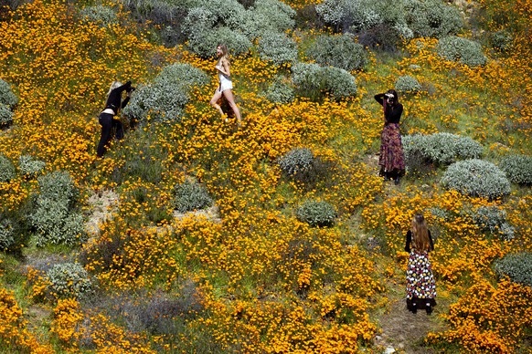 epa07424021 Girls take 'fashion' pictures of each other in the middle of a poppy fields on a slop of Walker Canyon near Lake Elsinore, California, USA, 08 March 2019. The heavy rains in California hav ...