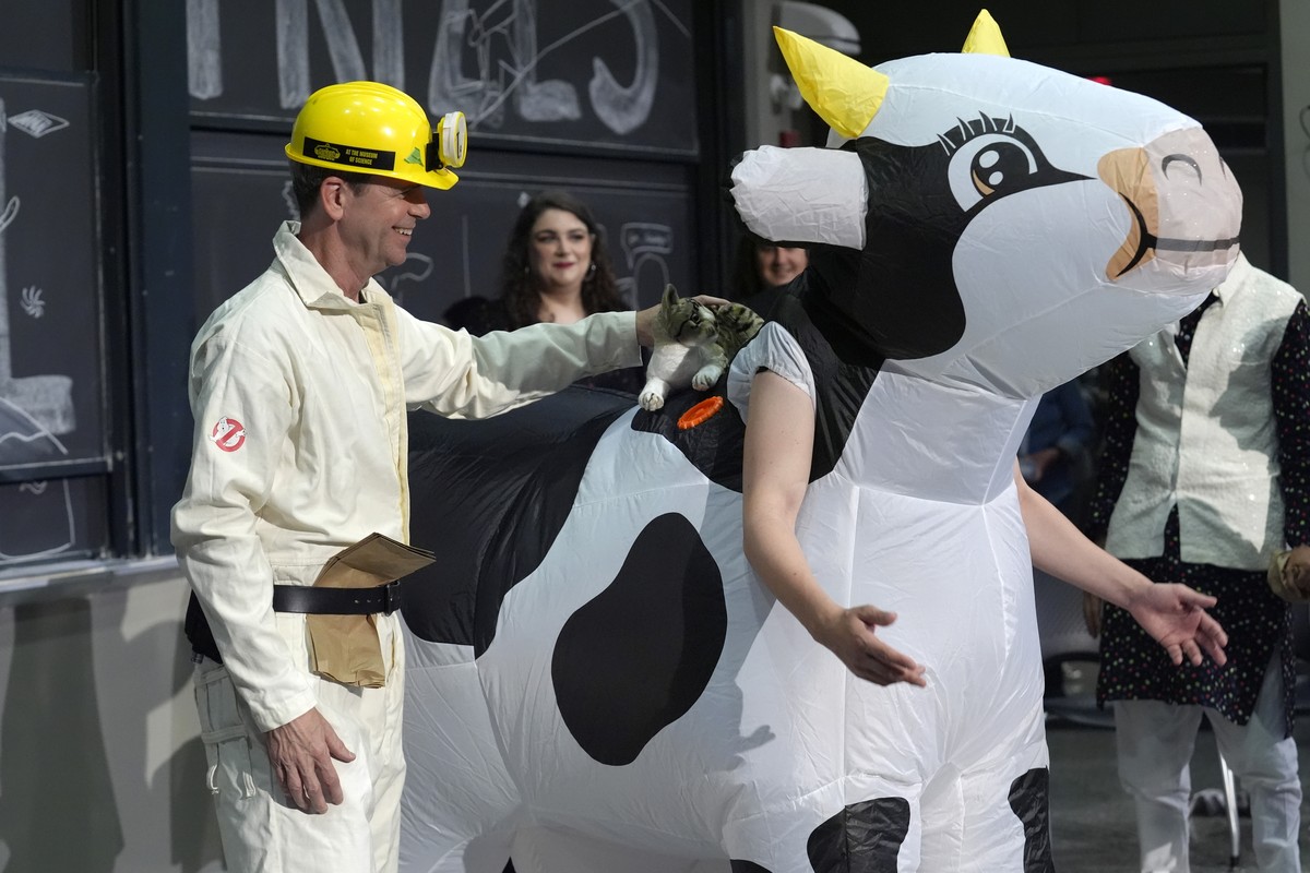 A performer places a stuffed toy cat on an inflatable cow, Thursday, Sept. 12, 2024, to demonstrate exploding a paper bag next to a cat that's standing on the back of a cow, to explore how and wh ...