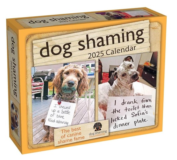 Dog Shaming 2025 Calendar https://www.amazon.com/Shaming-2025-Day-Day-Calendar/dp/1524890766