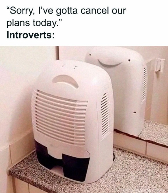 Introvertierten Meme im Picdump