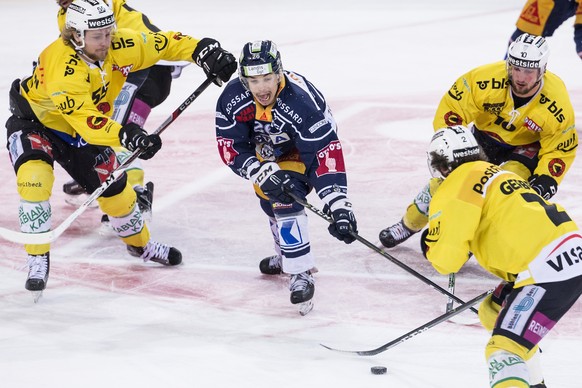 Berns Calle Andersson, Zugs Reto Suri, Berns Beat Gerber und Berns Tristan Scherwey, von links, im sechsten Eishockey Playoff Finalspiel der National League A zwischen dem EV Zug und dem SC Bern am Mo ...