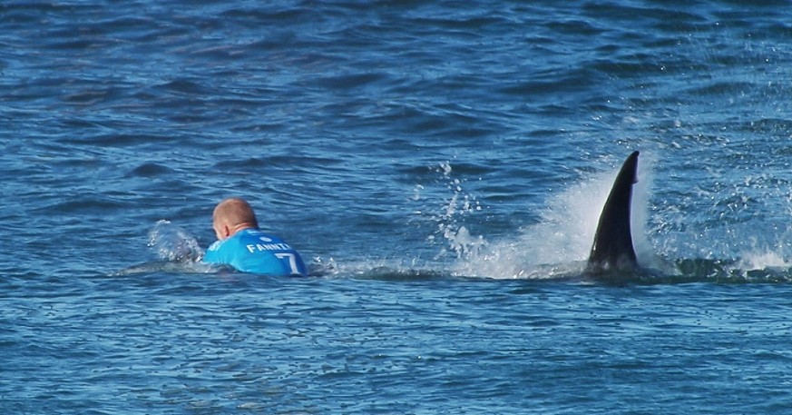 Die Schrecksekunde vom vergangenen Wochenende: Ein Weisser Hai fällt Surfstar Mick Fanning von hinten an.