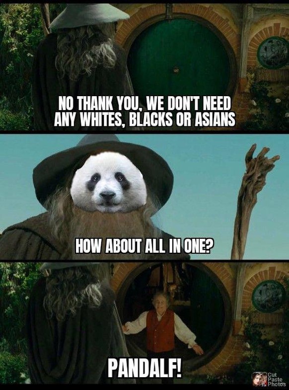 So, endlich Zeit fГјr Fondue. Und PICDUMP! рџ¤¤
One bambus to rule them allвЂ¦