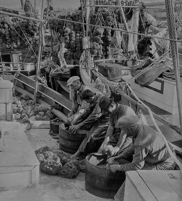 A group of men washing and sorting sponges using large wooden basins, on the deck of a fishing boat at docks in Florida, United States, circa 1930. (Photo by FPG/Archive Photos/Getty Images)