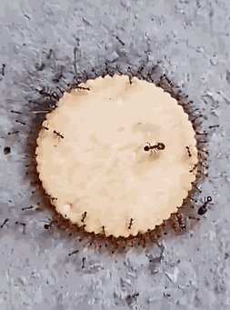 Animiertes GIF