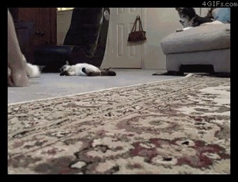 Es ist Zeit für deine 5 Minuten am Tag: PICDUMP!
Es ist geputzt, der PicDump kann kommen