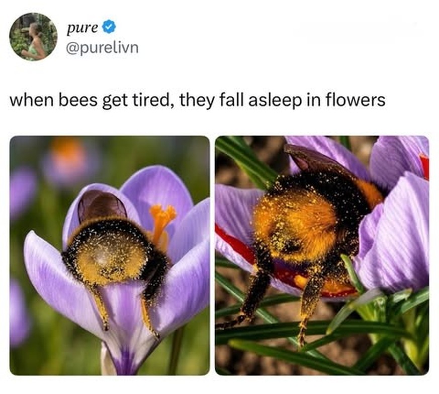 cute news hummel

https://www.instagram.com/p/Dbn0XhaNik8/