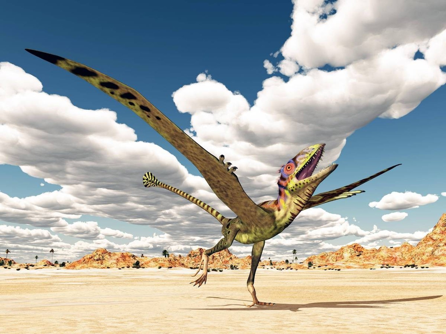 flying peacock peteinosaurus PUBLICATIONxINxGERxSUIxAUTxONLY Copyright: xMIROXXXXx Panthermedia15832877