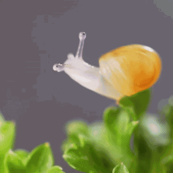 Animiertes GIF