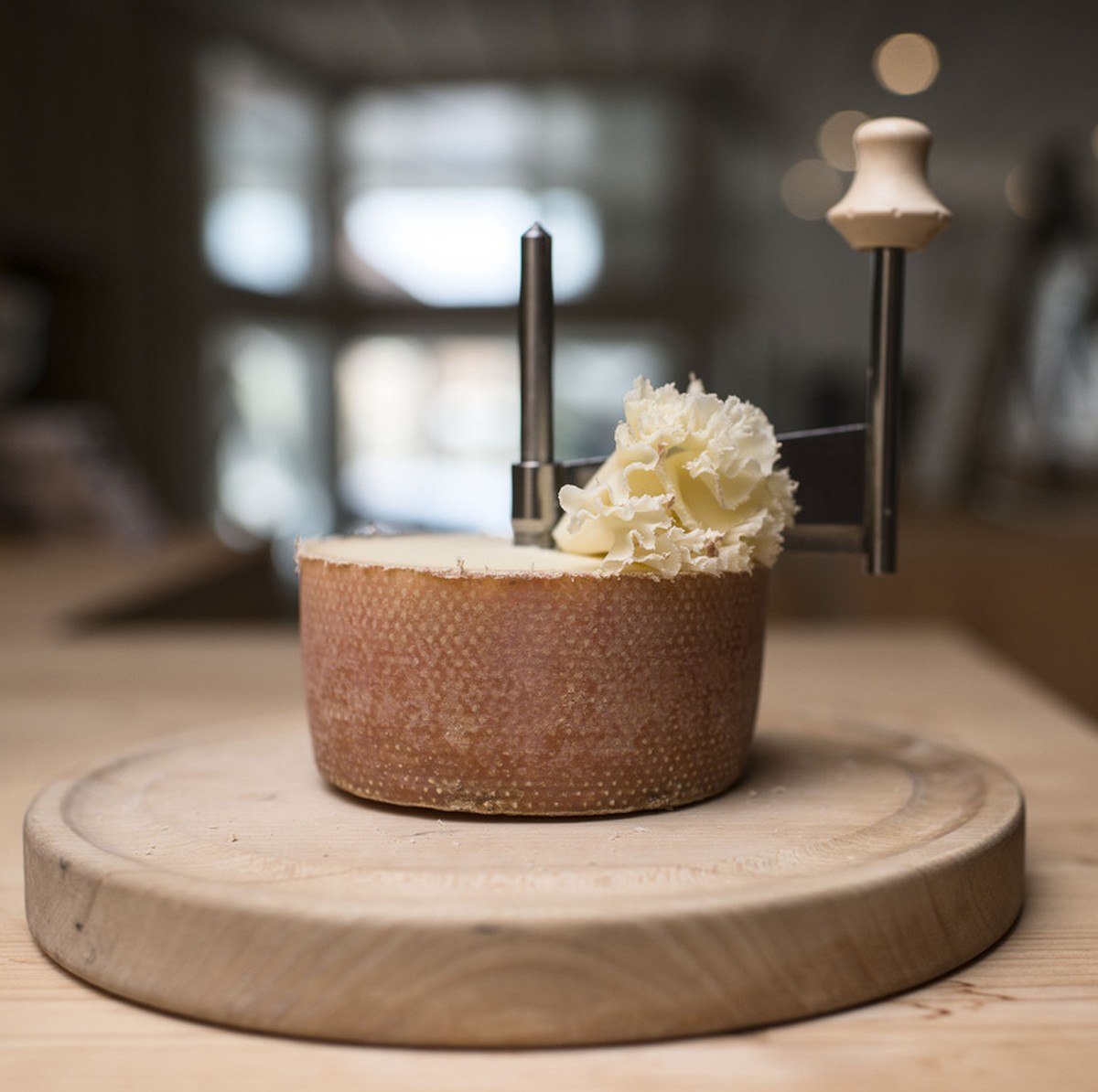 The ready to eat Tete de Moine cheese is on a "Girolle" cheese cutter, pictured on August 14, 2013, in the cheese dairy Josef Spielhofer, Fromages Spielhofer SA, in St-Imier, Bernese Jura, S ...