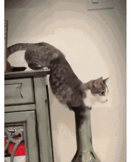 Animiertes GIF