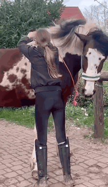 Animiertes GIF
